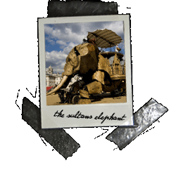 link to pictures of the sultans elephant