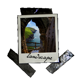 link to lanscape pics
